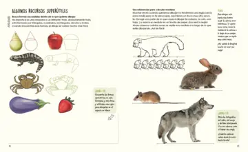 Imagen extra Mi primer cuaderno de campo 3