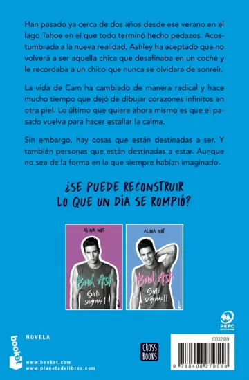 Contraportada Bad Ash 5. Suelo sagrado 2