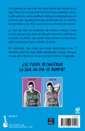 Miniatura contraportada Bad Ash 5. Suelo sagrado 2