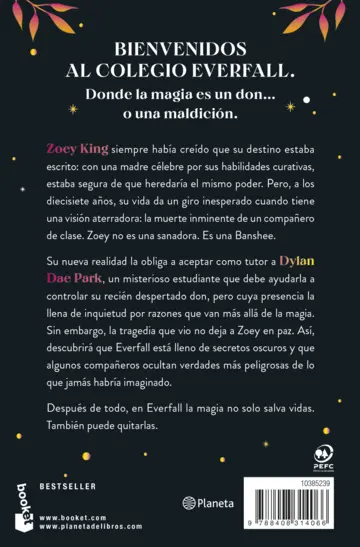 Contraportada La princesa encantada (Serie Everfall, 1)