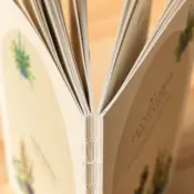 Portada Mi planificador botánico 0