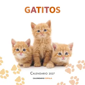 Portada Calendario Gatitos 2027