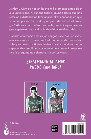 Contraportada Bad Ash 4. Suelo sagrado 1