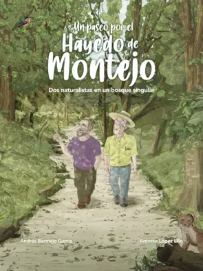 Portada Un paseo por el Hayedo de Montejo
