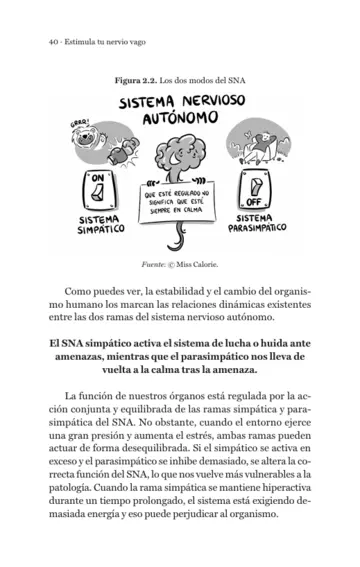 Imagen extra Estimula tu nervio vago 0
