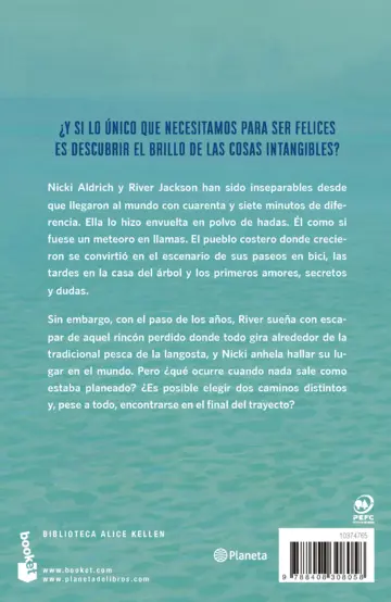 Contraportada Donde todo brilla