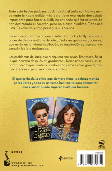 Contraportada Tú nunca dejarás de ser mi millón de fuegos artificiales