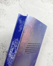 Portada Pecados 4. Rey de la desidia. Edición especial 3