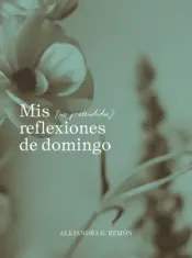 Portada Mis (no pretendidas) reflexiones de domingo