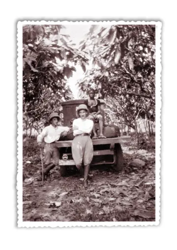 Imagen extra Palmeras en la nieve 1