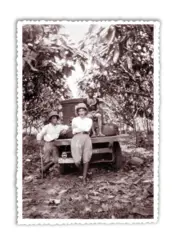 Portada Palmeras en la nieve 1