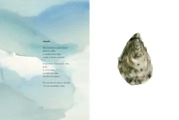 Imagen extra Si el mar no regresa 2