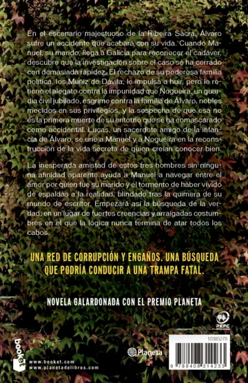 Contraportada Todo esto te daré