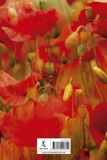 Contraportada Cien sonetos de amor