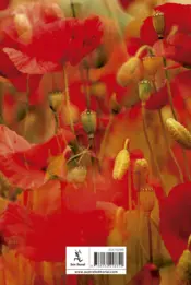 Miniatura contraportada Cien sonetos de amor