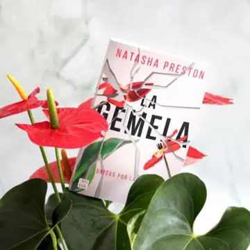 Imagen extra La gemela 0