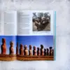 Miniatura Los grandes viajes de Lonely Planet 2