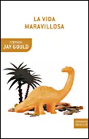 Portada La vida maravillosa