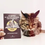Portada El mundo es un gato jugando con Australia 0