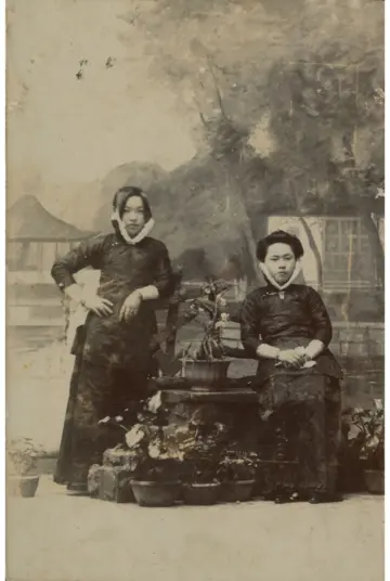 Imagen extra El valle del asombro 7