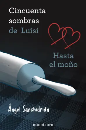 Portada 50 sombras de Luisi. Hasta el moño