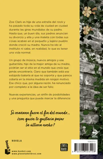 Contraportada Fin de gira