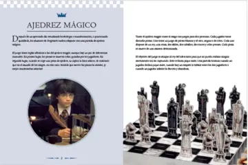 Imagen extra Harry Potter: Ajedrez mágico de bolsillo 0