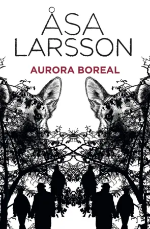 Portada Aurora boreal