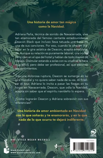 Contraportada Una Navidad muy fun, fun, fun