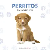 Portada Calendario Perritos 2021