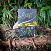 Portada Verdades enterradas (Serie Bergman, 7) 0