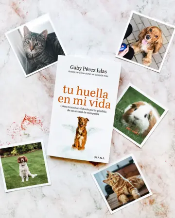 Imagen extra Tu huella en mi vida 0