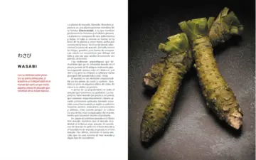 Imagen extra El mundo del sushi 1