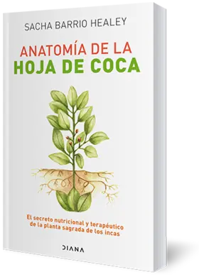 Portada Anatomy of the Coca Leaf