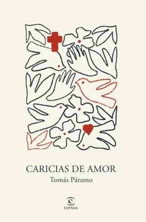 Portada Caricias de amor