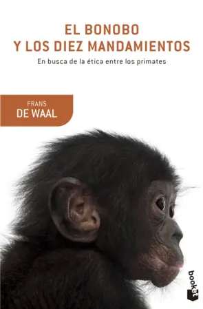 Portada El bonobo y los diez mandamientos