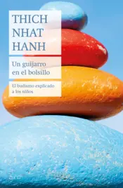 Portada Un guijarro en el bolsillo