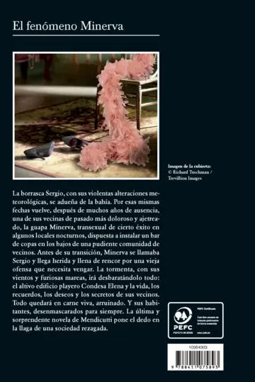 Contraportada El fenómeno Minerva