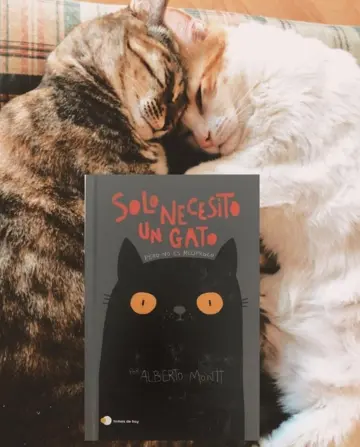 Imagen extra Solo necesito un gato (Edición española) 0