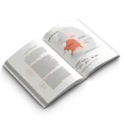 Portada Israel y Palestina. Anatomía de un conflicto 1