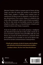 Miniatura contraportada Al pie de la escalera