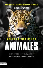 Portada Así es la vida de los animales