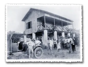 Imagen extra Palmeras en la nieve 2