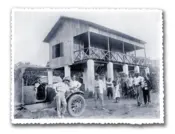 Portada Palmeras en la nieve 2