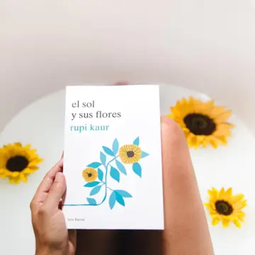 Imagen extra el sol y sus flores 0