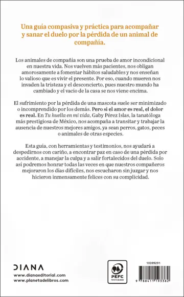 Contraportada Tu huella en mi vida