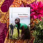 Portada Indestructibles 0