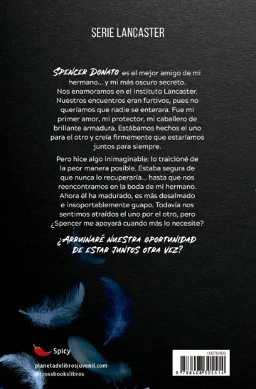 Contraportada Promesas que intentamos mantener