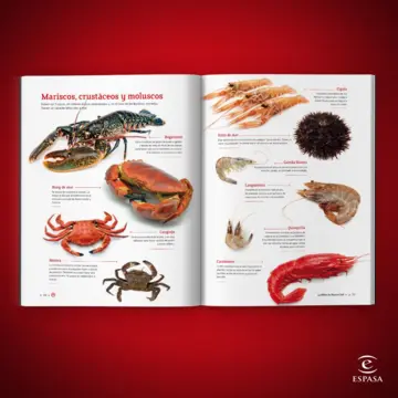 Imagen extra La Biblia de MasterChef. Las recetas 1