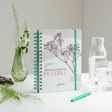 Imagen extra Agenda anual semanal 2027 Defreds 1
